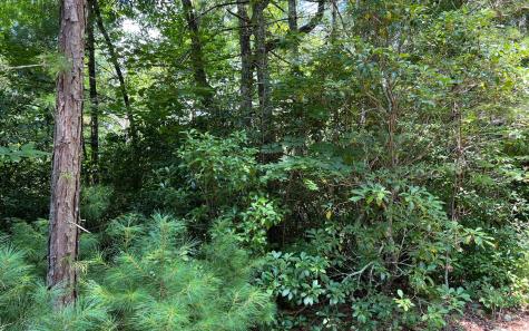 Lot 32 Fires Creek Cove Road Hayesville NC 28904