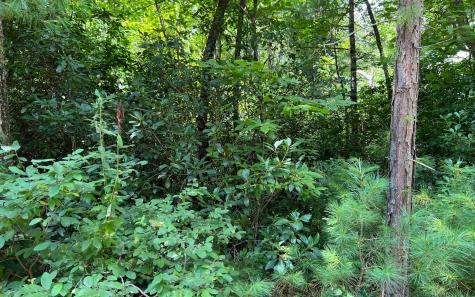 Lot 32 Fires Creek Cove Road Hayesville NC 28904