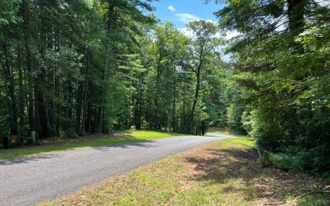 Lot 32 Fires Creek Cove Road Hayesville NC 28904