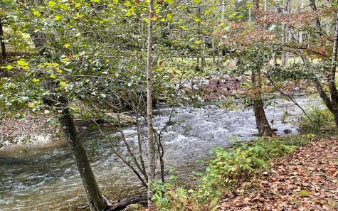 Lot 32 Fires Creek Cove Road Hayesville NC 28904