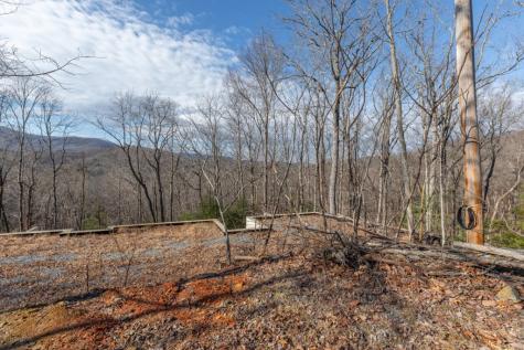 168 Buckskin Drive Cherry Log GA 30522