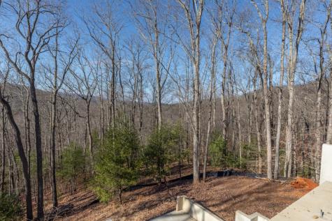 168 Buckskin Drive Cherry Log GA 30522