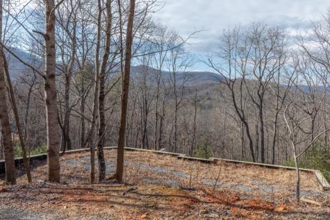 168 Buckskin Drive Cherry Log GA 30522