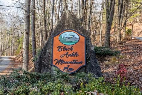 168 Buckskin Drive Cherry Log GA 30522