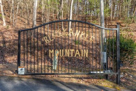 168 Buckskin Drive Cherry Log GA 30522