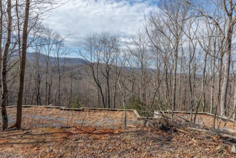 168 Buckskin Drive Cherry Log GA 30522