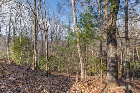 168 Buckskin Drive Cherry Log GA 30522