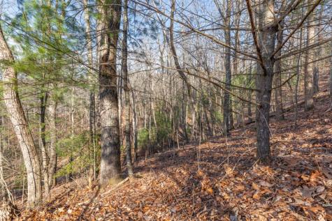 168 Buckskin Drive Cherry Log GA 30522