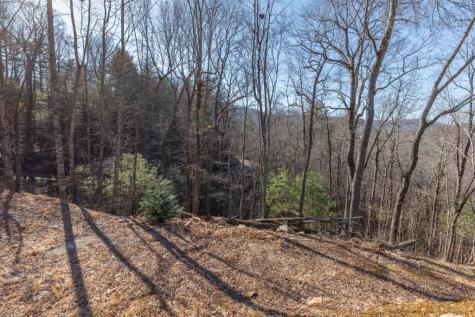 168 Buckskin Drive Cherry Log GA 30522