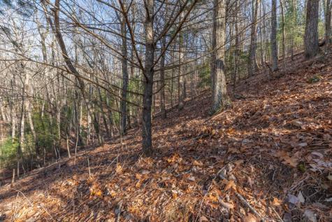 168 Buckskin Drive Cherry Log GA 30522