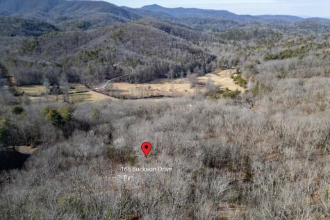 168 Buckskin Drive Cherry Log GA 30522