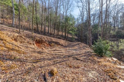 168 Buckskin Drive Cherry Log GA 30522