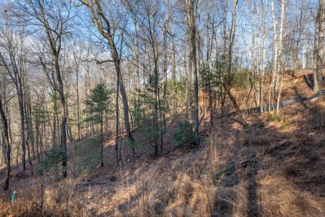 168 Buckskin Drive Cherry Log GA 30522