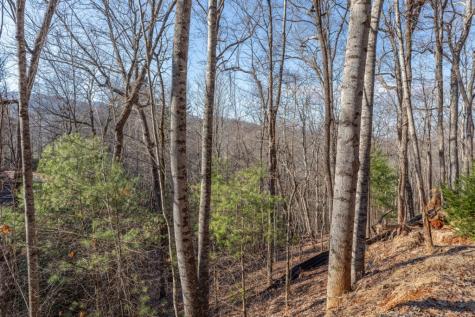 168 Buckskin Drive Cherry Log GA 30522