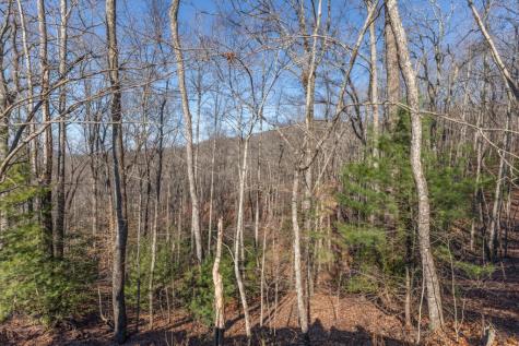 168 Buckskin Drive Cherry Log GA 30522