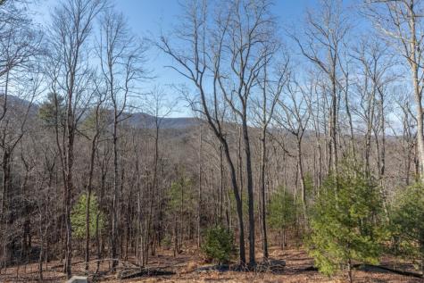 168 Buckskin Drive Cherry Log GA 30522