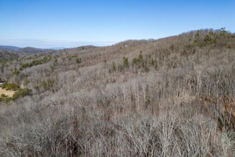 168 Buckskin Drive Cherry Log GA 30522