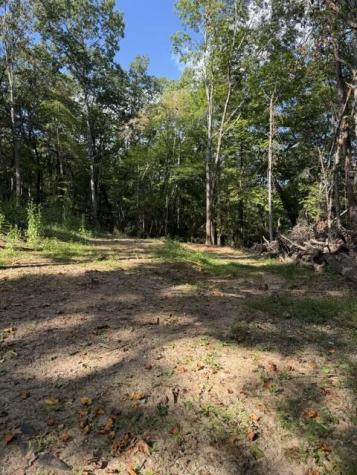 72 Old Parker Way Ellijay GA 30536