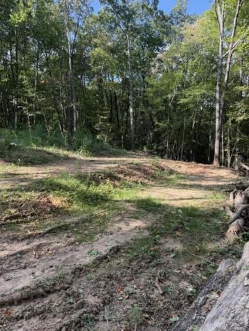 72 Old Parker Way Ellijay GA 30536