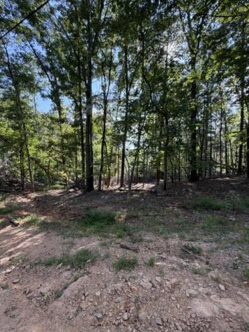72 Old Parker Way Ellijay GA 30536