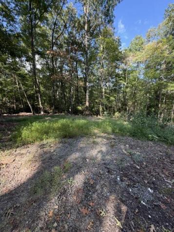 72 Old Parker Way Ellijay GA 30536