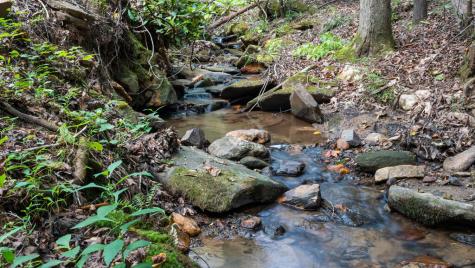 72 Old Parker Way Ellijay GA 30536