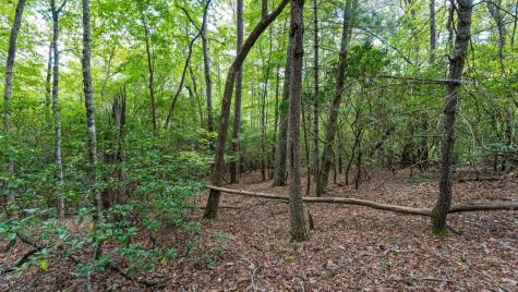 72 Old Parker Way Ellijay GA 30536