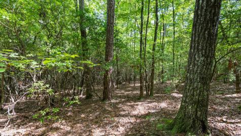 72 Old Parker Way Ellijay GA 30536