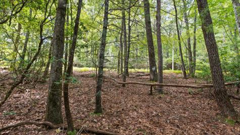 72 Old Parker Way Ellijay GA 30536
