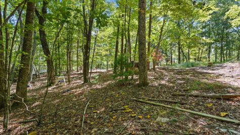 72 Old Parker Way Ellijay GA 30536