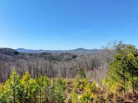 Lot 364 Thirteen Hundred Blairsville GA 30512