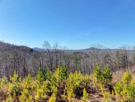 Lot 364 Thirteen Hundred Blairsville GA 30512