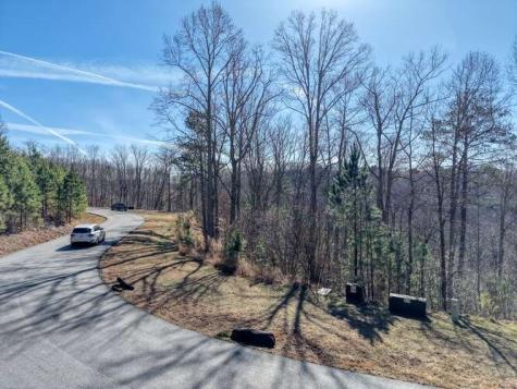 Lot 364 Thirteen Hundred Blairsville GA 30512