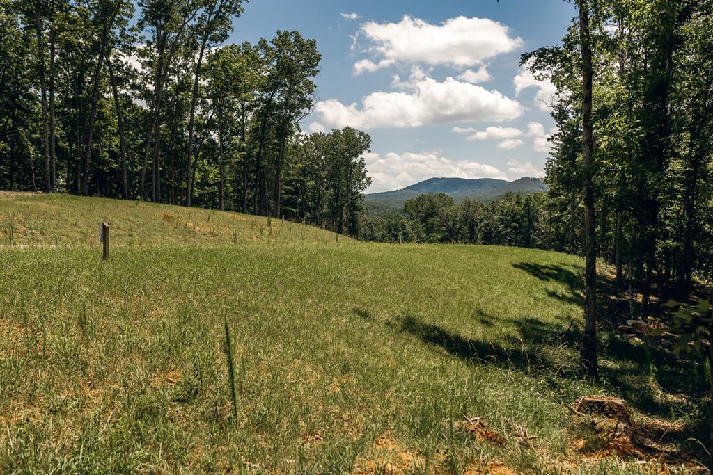 Lot 133 Ridges Of Blue Ridge Morganton GA 30560