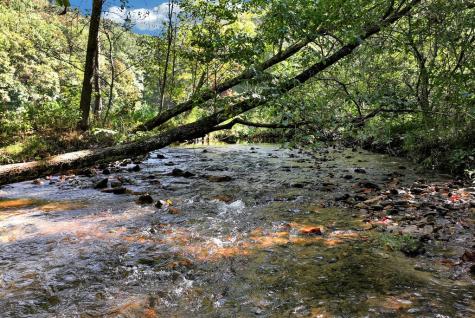 14551 E Highway 52 Ellijay GA 30536