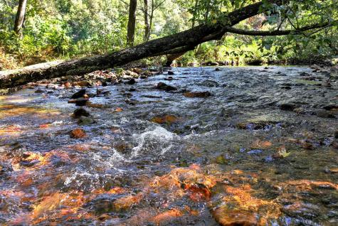 14551 E Highway 52 Ellijay GA 30536