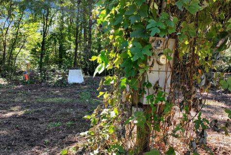 14551 E Highway 52 Ellijay GA 30536