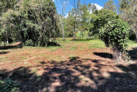 14551 E Highway 52 Ellijay GA 30536