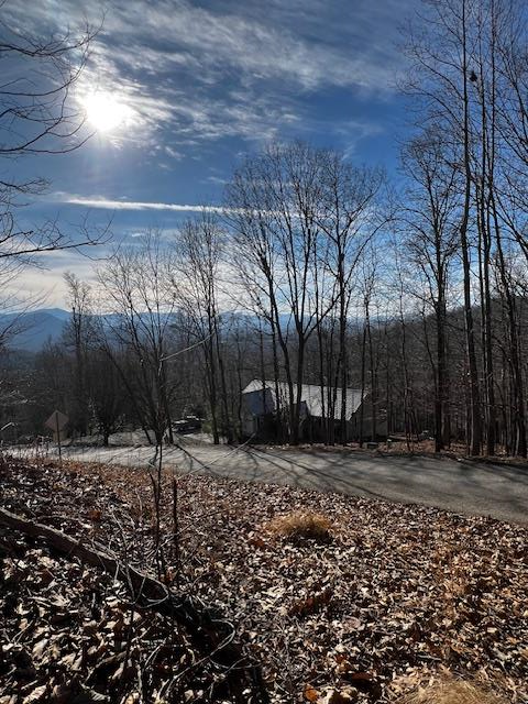 Lot 54 Sunny View Drive Blairsville GA 30512