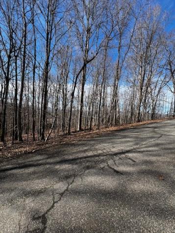 Lot 54 Sunny View Drive Blairsville GA 30512