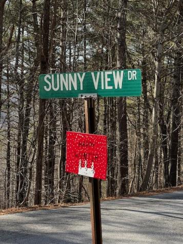 Lot 54 Sunny View Drive Blairsville GA 30512