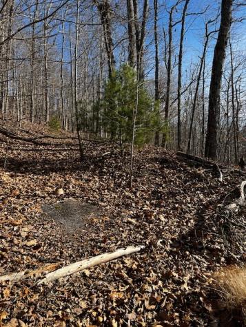 Lot 54 Sunny View Drive Blairsville GA 30512