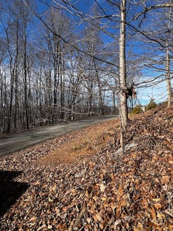 Lot 54 Sunny View Drive Blairsville GA 30512