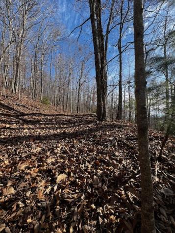 Lot 54 Sunny View Drive Blairsville GA 30512