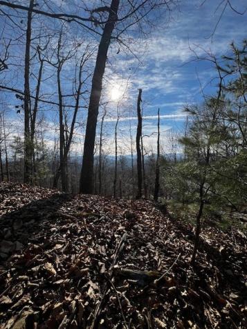 Lot 54 Sunny View Drive Blairsville GA 30512