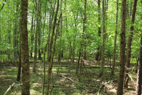 46 Chatuge Lane Hayesville NC 28904