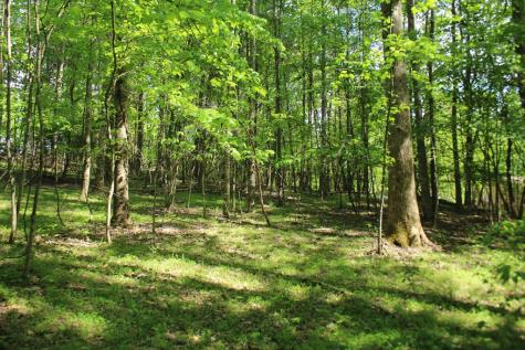 46 Chatuge Lane Hayesville NC 28904