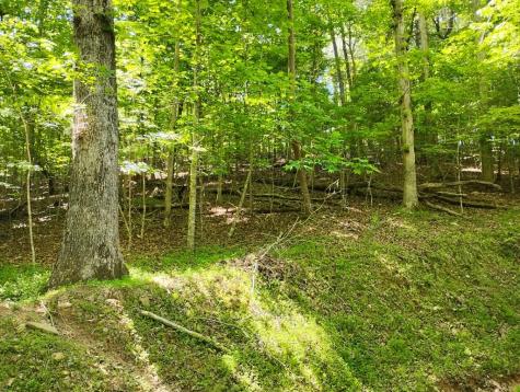 0 Gladstone Court Ellijay GA 30540