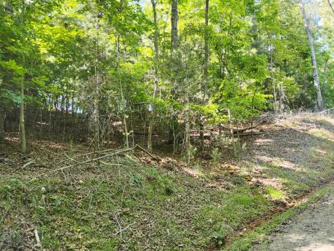 0 Gladstone Court Ellijay GA 30540