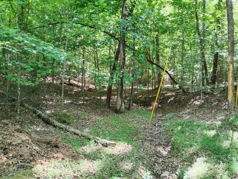 0 Gladstone Court Ellijay GA 30540